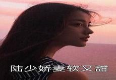 陆凡陆绾儿全文免费阅读